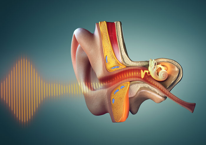 Hearing-loss-–-Inner-Ear